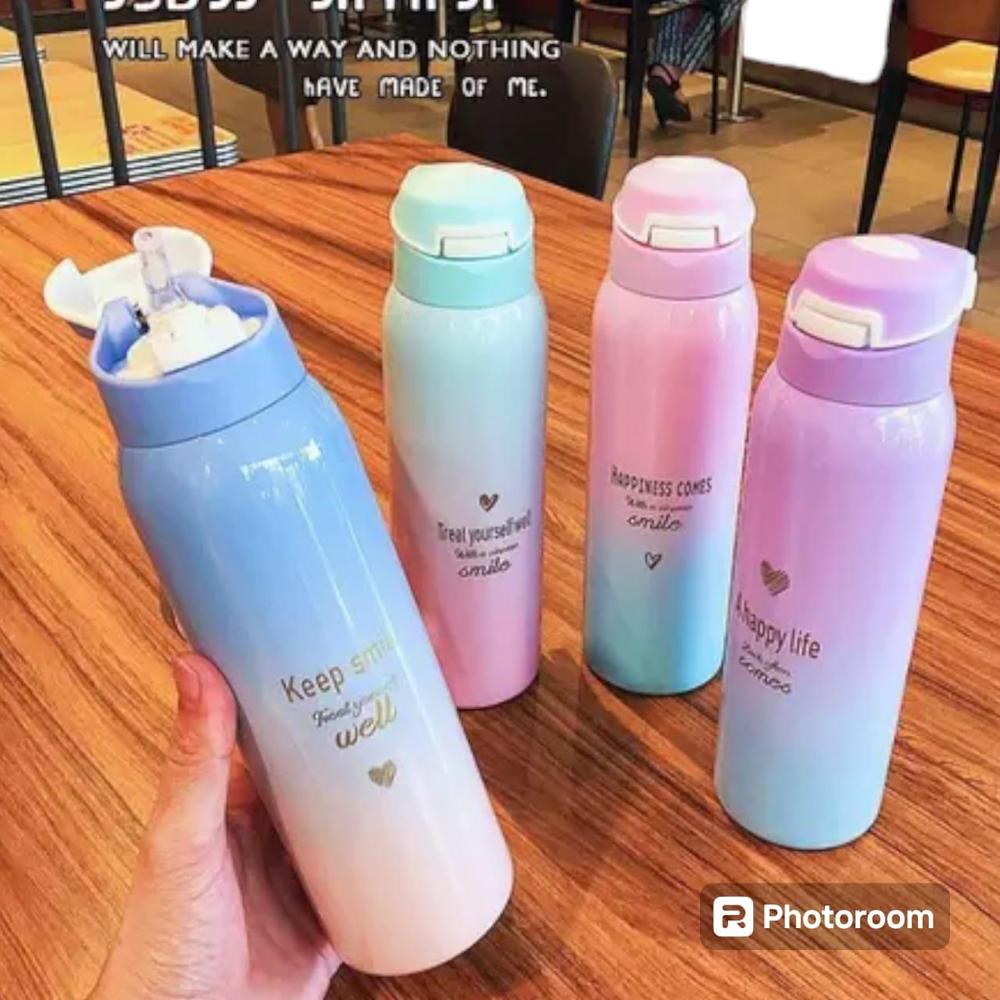 Gradient Color Stainless Steel Insulated Water Bottle With Straw 500mla